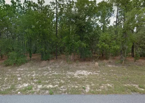 1449 W Omaha Pl, Citrus Springs, FL 34434