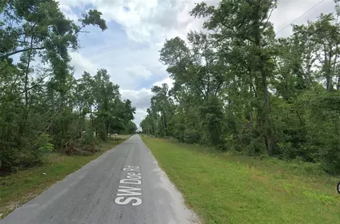 00 SW Doe Rd, Mayo, FL 32066 photo 2