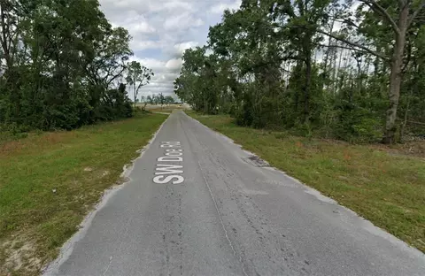 00 SW Doe Rd, Mayo, FL 32066 photo 4