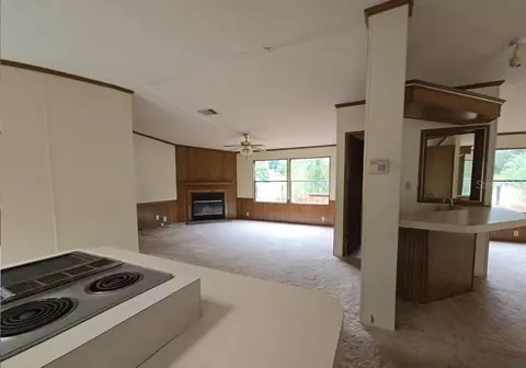 12906 NW 38th Ave, Reddick, FL 32686 photo 10