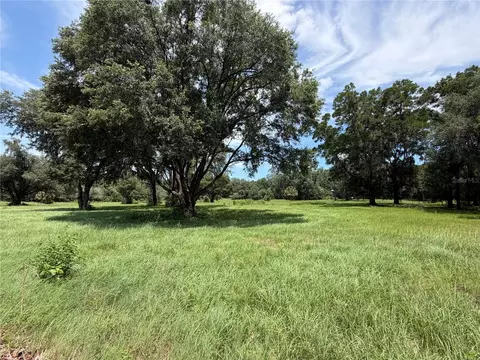 tbd NW 329, Reddick, FL 32686 photo 3