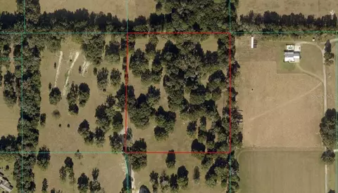 tbd NW 329, Reddick, FL 32686 photo 9