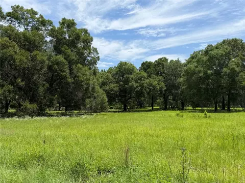 tbd NW 329, Reddick, FL 32686 photo 4