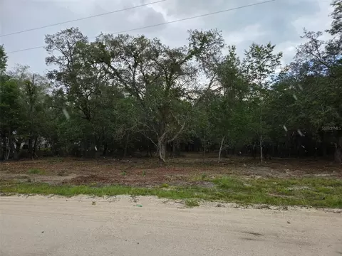 21531 SE 68th Ln, Morriston, FL 32668