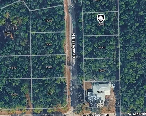 10075 N Biscayne Dr, Citrus Springs, FL 34434