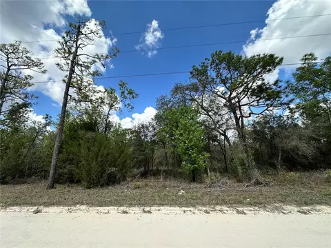 tbd NE 63rd Pl, Williston, FL 32696