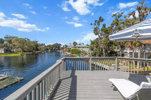 View/Area - 7305 Tropical Dr, Weeki Wachee, FL 34607 photo 1 of 9