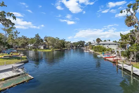 View/Area - 7305 Tropical Dr, Weeki Wachee, FL 34607 photo 2 of 9