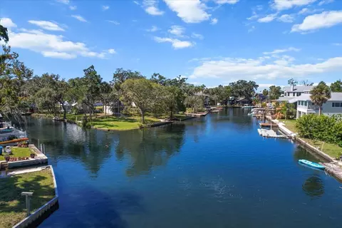 View/Area - 7305 Tropical Dr, Weeki Wachee, FL 34607 photo 9 of 9