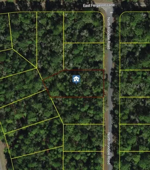 9452 N Irondale Rd, Dunnellon, FL 34434
