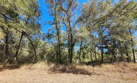 8585 N Alameda Dr, Citrus Springs, FL 34434