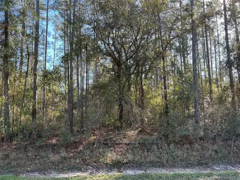 4345 Benedict St, Hastings, FL 32145
