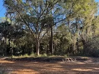 tbd NE 135 Ave, Fort Mc Coy, FL 32134