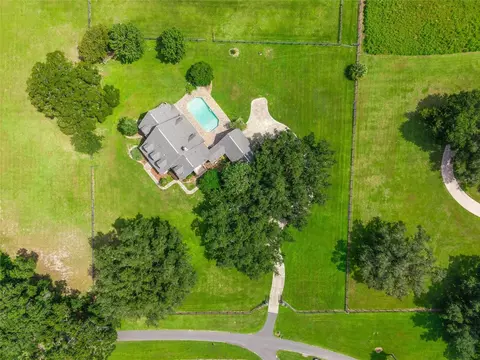 View/Area - 25 SE 69th Pl, Ocala, FL 34480 photo 2 of 8