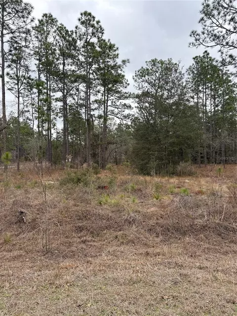 1159 NW Redwood Dr, Dunnellon, FL 34431