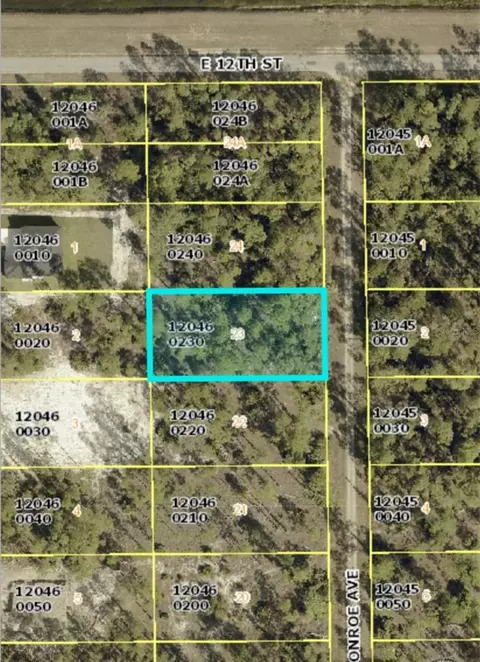 1121 Monroe Ave, Lehigh Acres, FL 33972