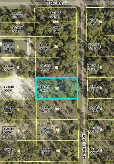 1119 Monroe Ave, Lehigh Acres, FL 33972