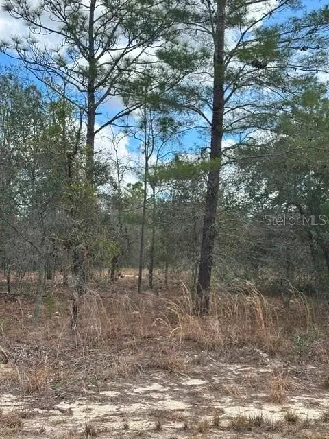 Undisclosed, Ocala, FL 34481 photo 2