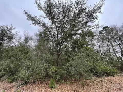 0 NE 128 Ave, Williston, FL 32696