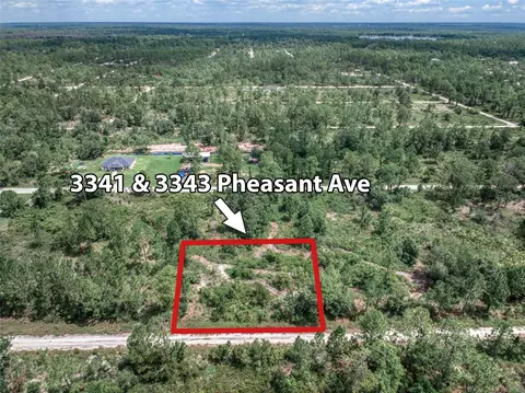 3341 3343 Pheasant Ave, Lake Placid, FL 33852
