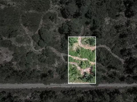 3341 Pheasant Ave, Lake Placid, FL 33852