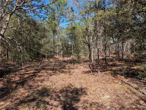 SW 81st Street, Dunnellon, FL 34432