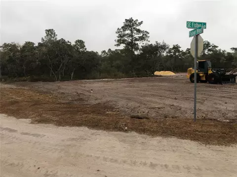 000 Fisher Loop, Ocklawaha, FL 32179