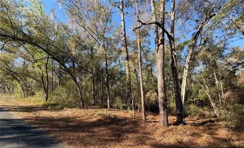 5230 S Robert Blake Ave, Inverness, FL 34452