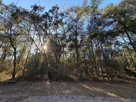 tbd NE 150 Ave, Fort Mc Coy, FL 32134
