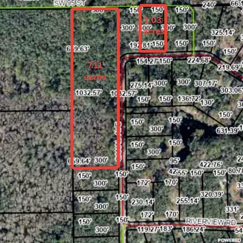 tbd Off Riverview Rd, Fanning Springs, FL 32693