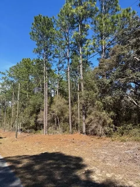 TBA SW 207 Court #4, Dunnellon, FL 34431