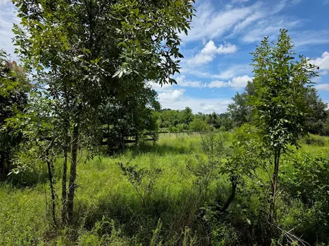 2351 NE Highway 41, Williston, FL 32696 photo 5