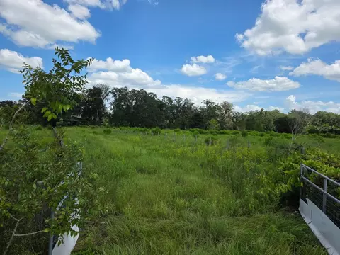 2351 NE Highway 41, Williston, FL 32696 photo 10