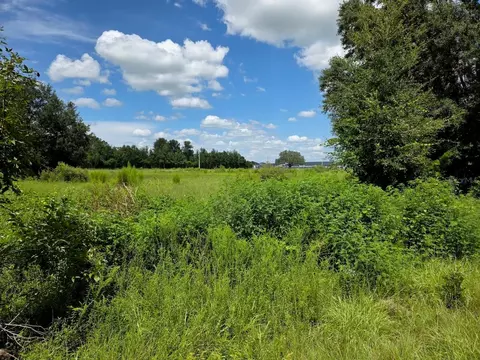 2351 NE Highway 41, Williston, FL 32696 photo 6