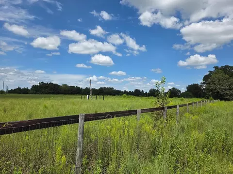 2351 NE Highway 41, Williston, FL 32696 photo 2