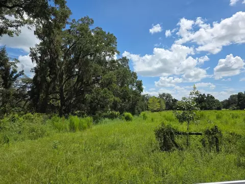 2351 NE Highway 41, Williston, FL 32696 photo 8