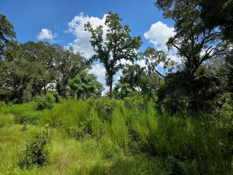 2351 NE Highway 41, Williston, FL 32696 photo 3