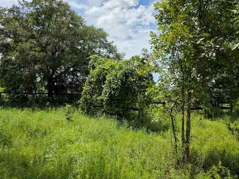2351 NE Highway 41, Williston, FL 32696 photo 4