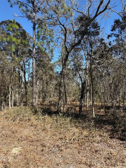 Tba SE 135th Court, Dunnellon, FL 34431