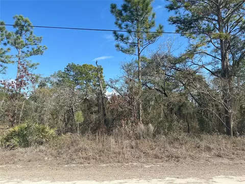 11072 Hyde St, Weeki Wachee, FL 34614