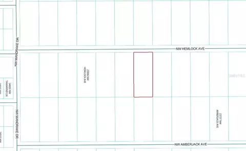 lot7 NW Hemlock Ave, Dunnellon, FL 34431