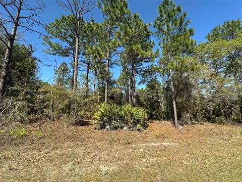 833 W Champlain Ln, Citrus Springs, FL 34434
