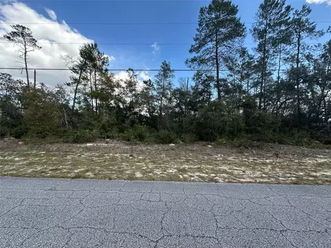 8385 N Farrington Dr, Citrus Springs, FL 34433