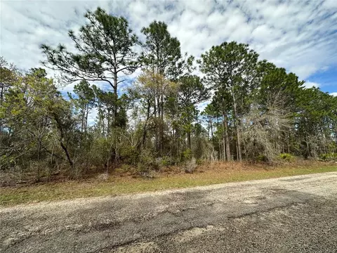1639 W Pendleton St, Dunnellon, FL 34434