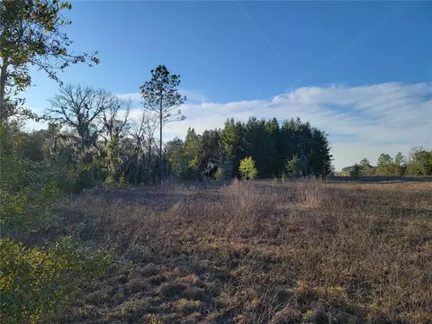0 NE 20th St, Williston, FL 32696 photo 14