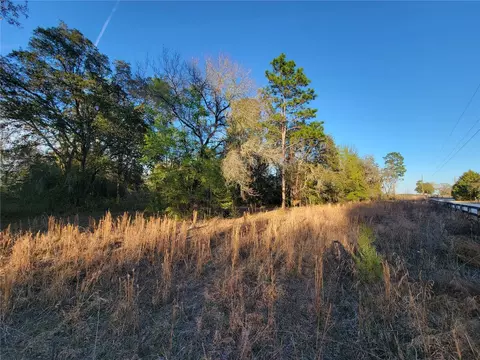0 NE 20th St, Williston, FL 32696 photo 9
