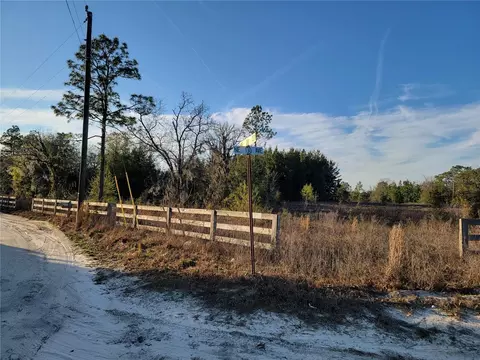 0 NE 20th St, Williston, FL 32696 photo 5