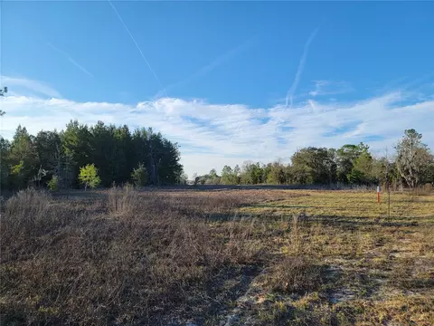 0 NE 20th St, Williston, FL 32696 photo 10