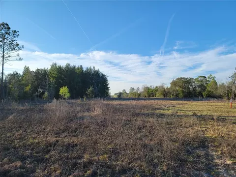 0 NE 20th St, Williston, FL 32696 photo 2
