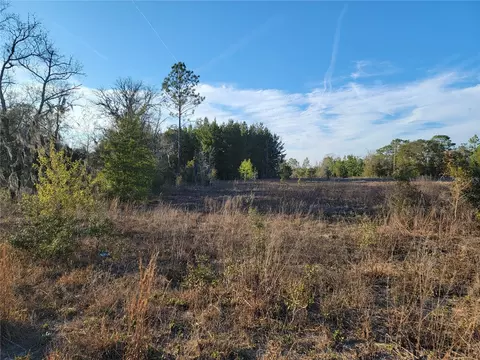 0 NE 20th St, Williston, FL 32696 photo 7